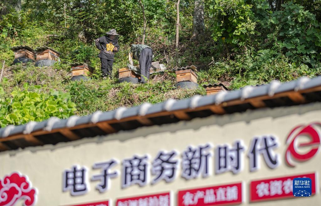 下载幸运双星游戏